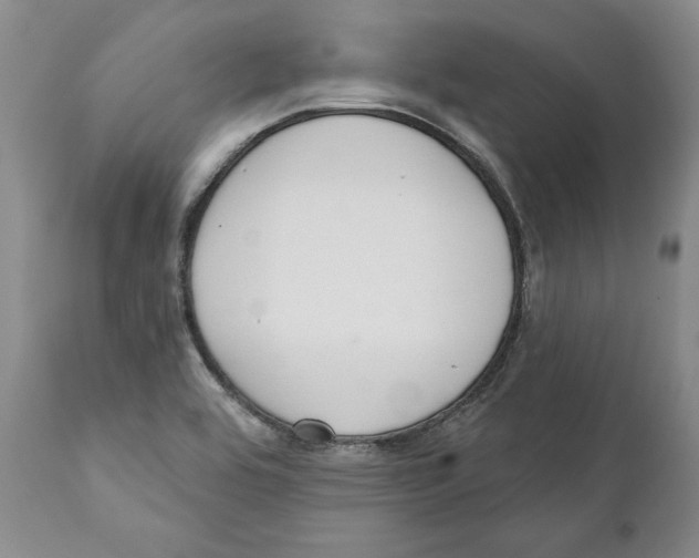 X0000111891464200908201309