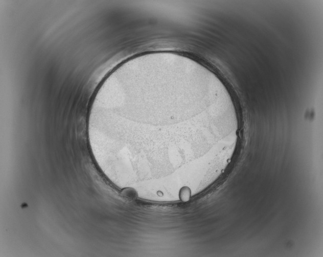 X0000111891465200908201309