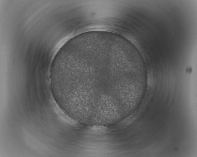 X0000111891466200908201309