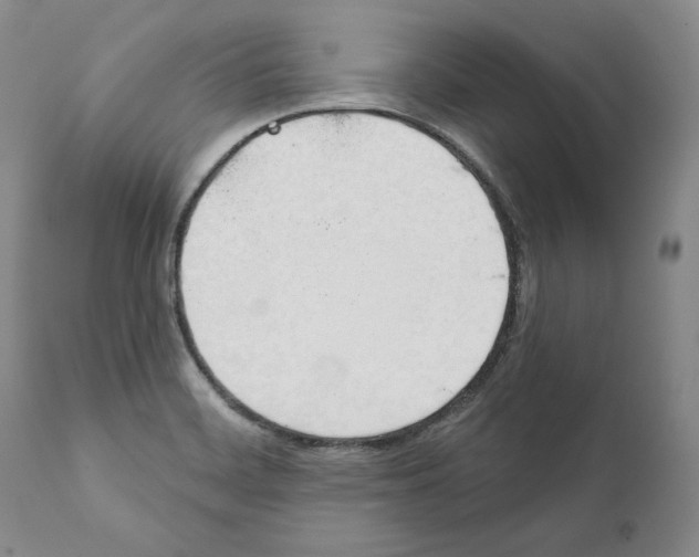 X0000111891468200908201309