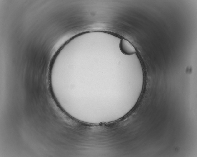 X0000111891469200908201309