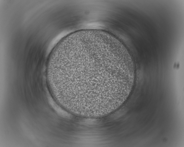 X0000111891470200908201309