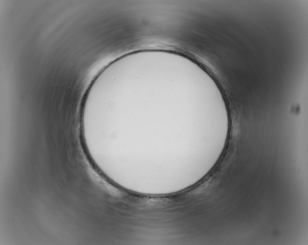 X0000111891471200908201309