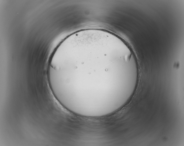 X0000111891472200908201309