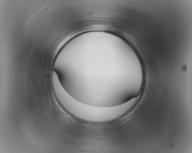 X0000111891473200908201309