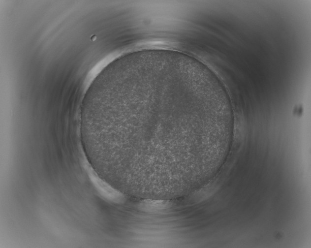 X0000111891474200908201309