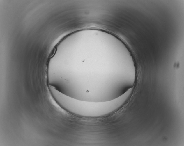 X0000111891476200908201309