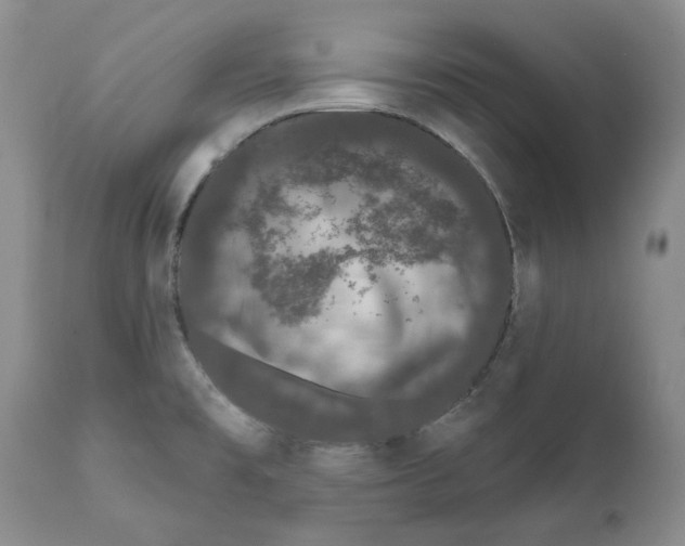 X0000111891477200908201309