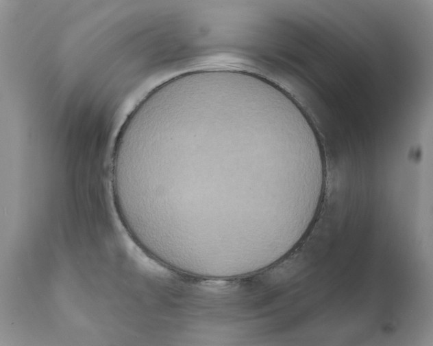 X0000111891478200908201309