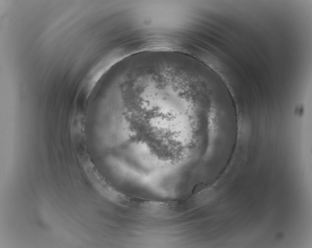 X0000111891481200908201309