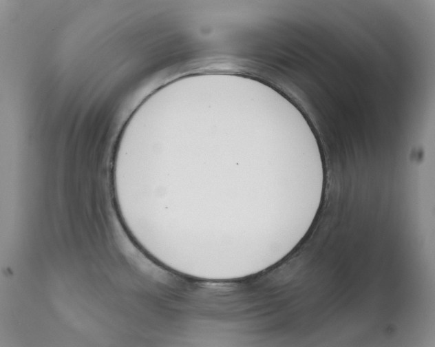 X0000111891483200908201309