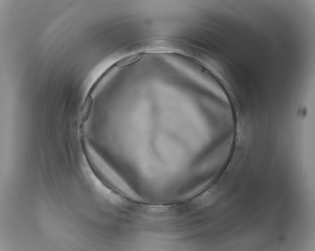 X0000111891484200908201309