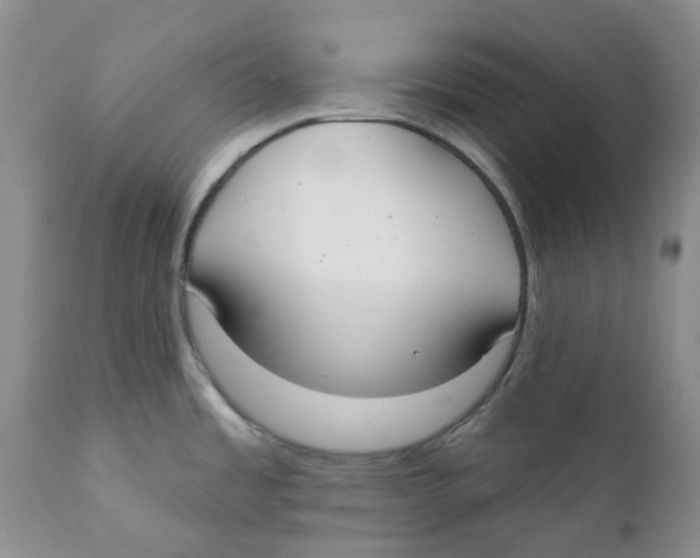 X0000111891485200908201309