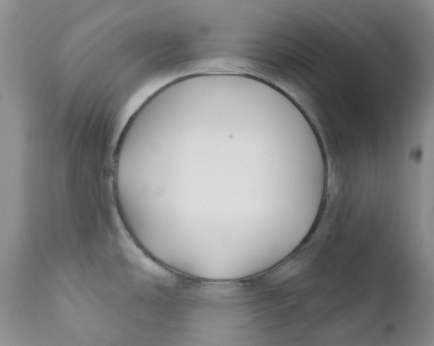 X0000111891486200908201309