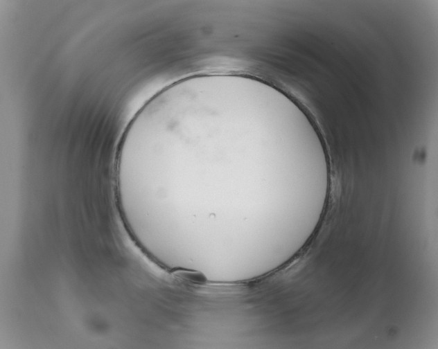 X0000111891487200908201309