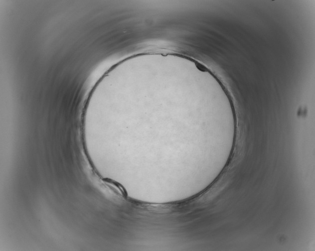 X0000111891488200908201309