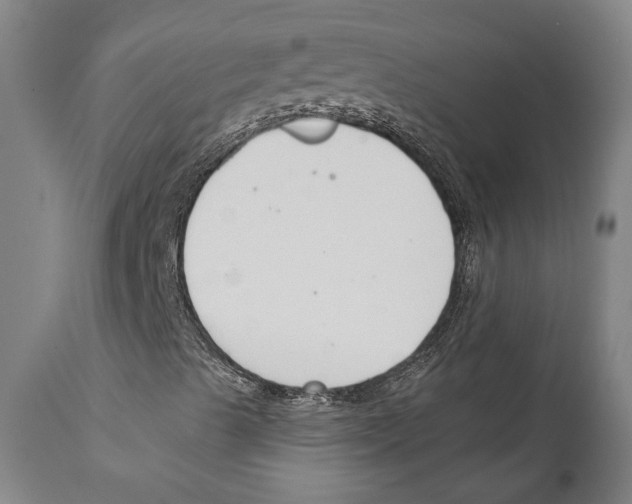 X0000111891489200908201308