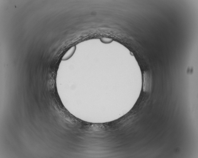 X0000111891491200908201308