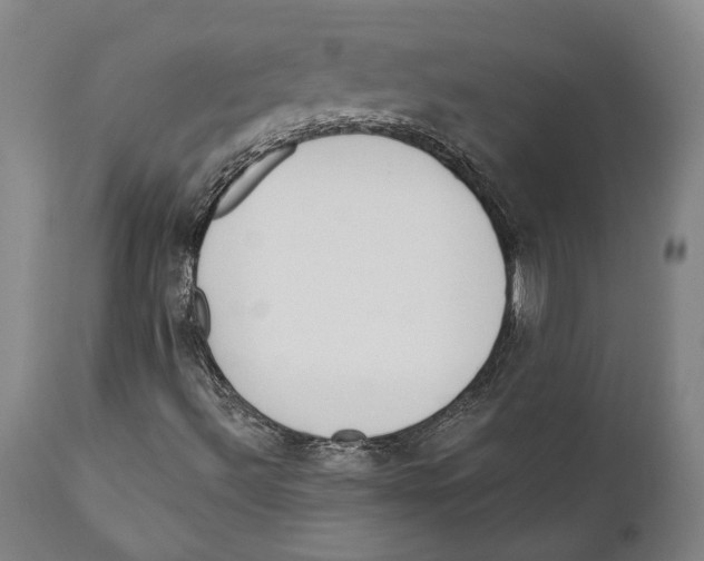 X0000111891492200908201308