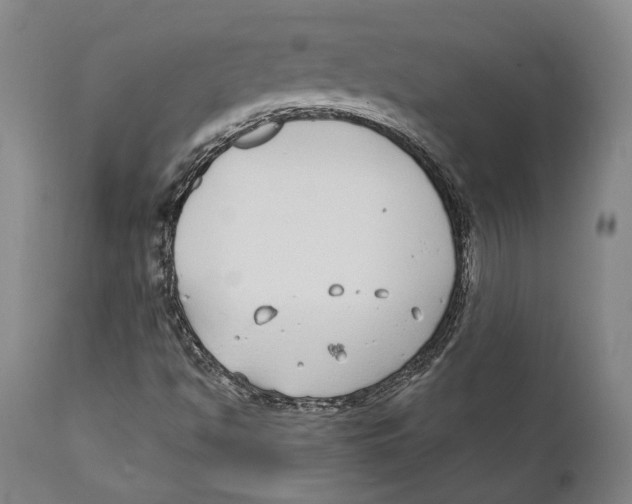 X0000111891494200908201308