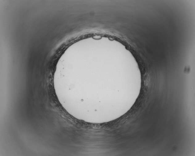 X0000111891495200908201308