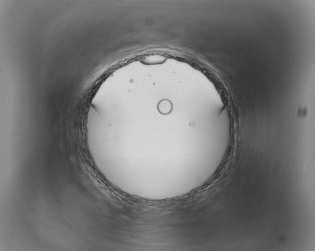 X0000111891496200908201308