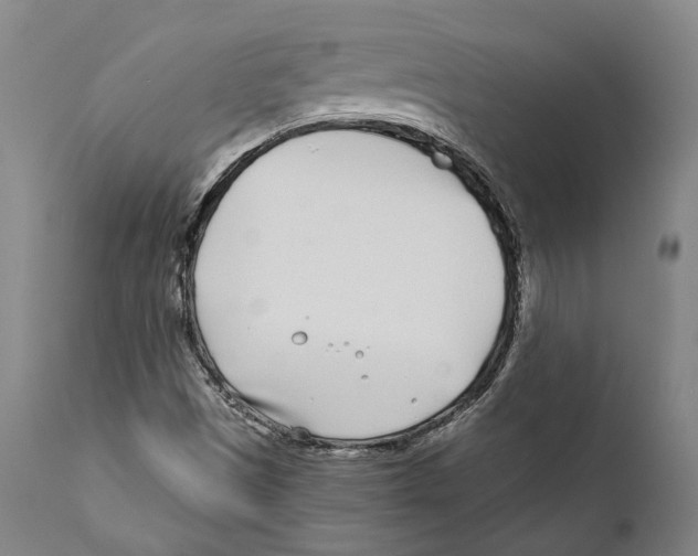 X0000111891497200908201308