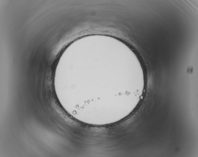 X0000111891498200908201308