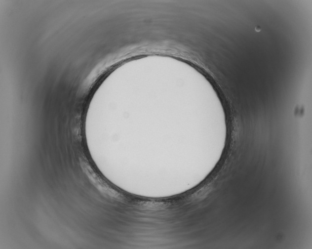 X0000111891499200908201308