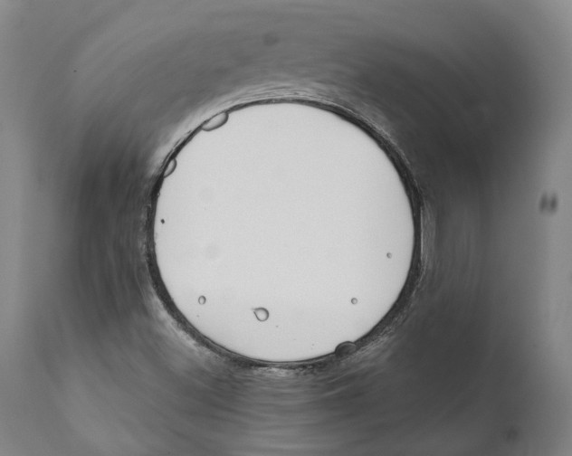 X0000111891500200908201308