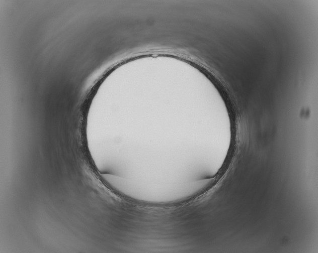 X0000111891502200908201308