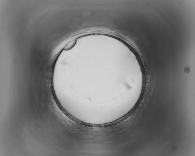 X0000111891504200908201308