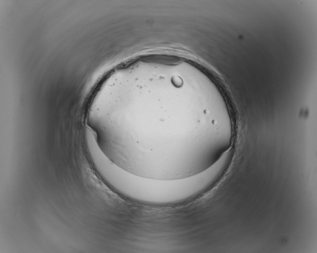 X0000111891506200908201309