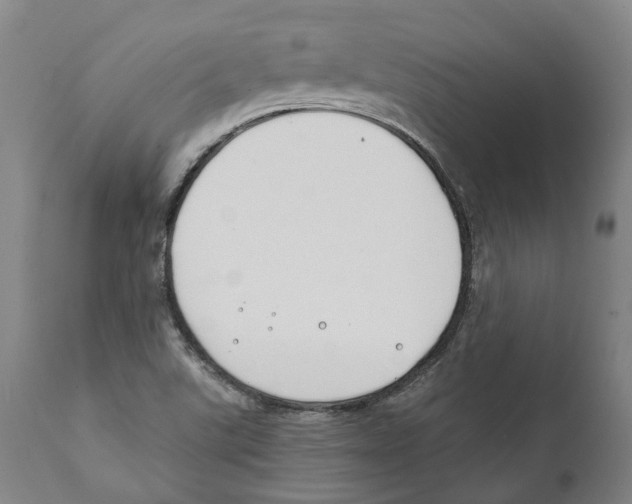 X0000111891507200908201309