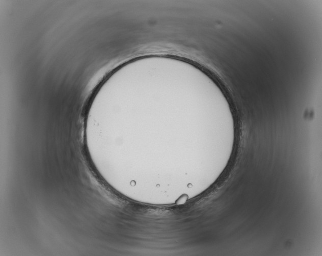 X0000111891509200908201309