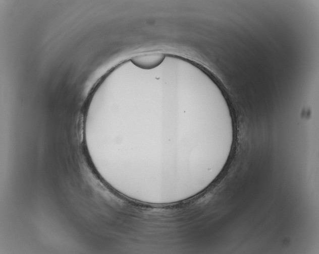 X0000111891510200908201309