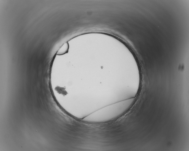 X0000111891512200908201309