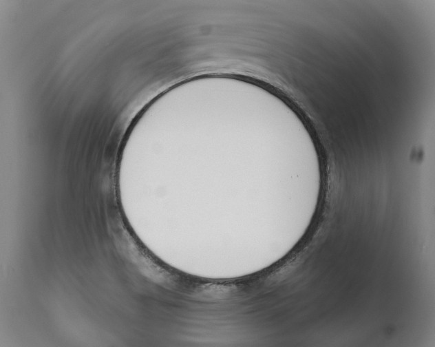 X0000111891513200908201309