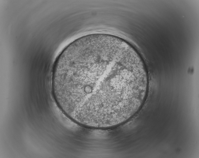 X0000111891514200908201309