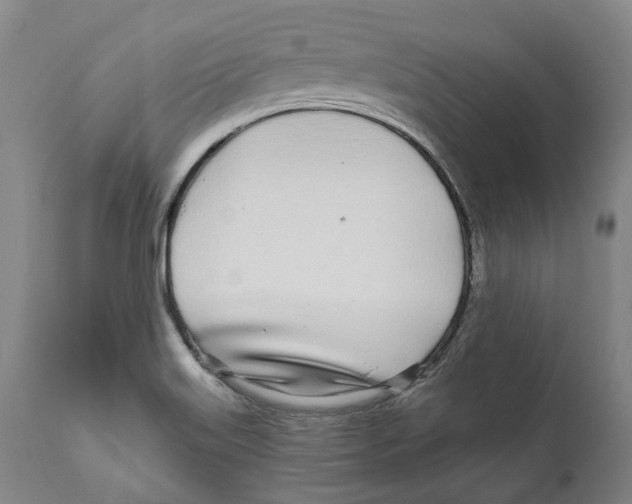 X0000111891515200908201309