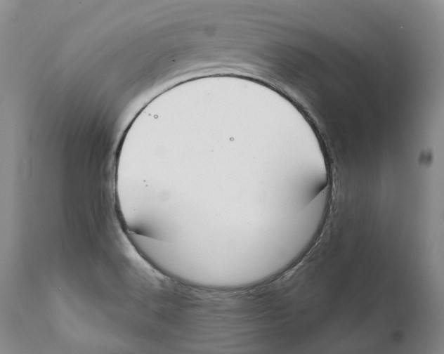 X0000111891516200908201309