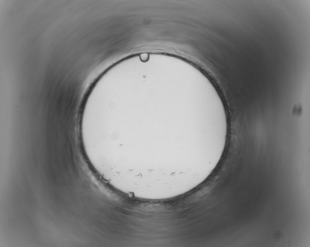 X0000111891517200908201309