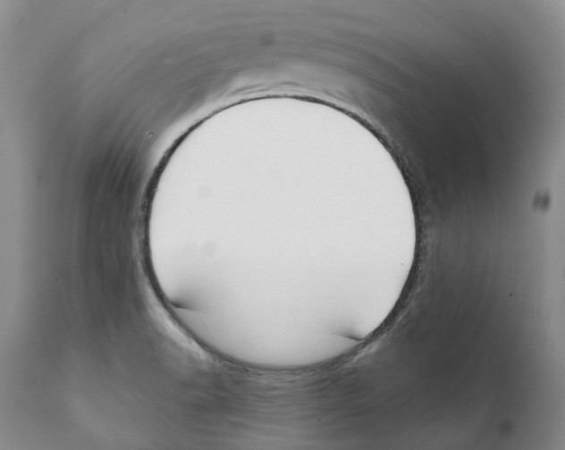 X0000111891518200908201309