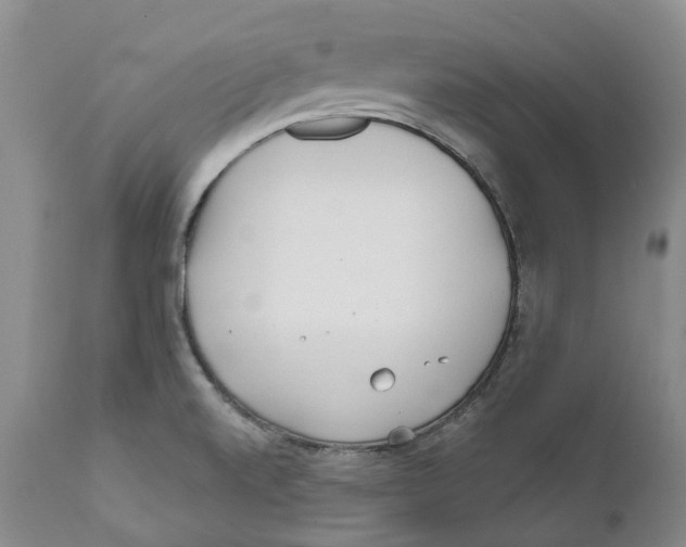 X0000111891520200908201309