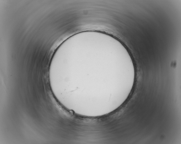 X0000111891521200908201309