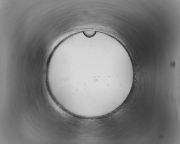 X0000111891523200908201309