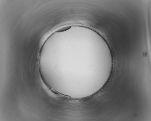 X0000111891524200908201309