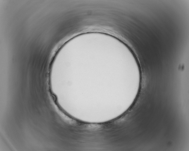 X0000111891525200908201309