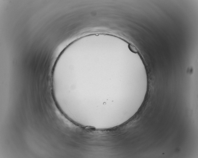 X0000111891527200908201309