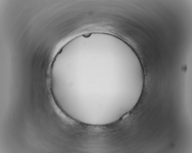 X0000111891528200908201309